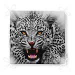 - Frm-106-Leopar-Desenli-Dijital-Baskili-Fermuarli-Sandalye-Minderi-4 - Realhomes Leopar Desenli Dijital Baskılı Fermuarlı Sandalye Minderi Realhomes