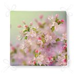 - Frm-2522-Sardunya-Cizimli-Modern-Fermuarli-Sandalye-Minderi-4 - Realhomes Sardunya Çizimli Modern Fermuarlı Sandalye Minderi Realhomes