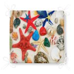 - Frm-3462-Renkli-Deniz-Canlilari-Ozel-Tasarimli-Modern-Fermuarli-Sandalye-Minderi-4 - Realhomes Renkli Deniz Canlıları Özel Tasarımlı Modern Fermuarlı Sandalye Minderi Realhomes