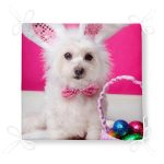 - Frm-5609-Sevimli-Kopek-Desenli-Dijital-Baskili-Modern-Fermuarli-Sandalye-Minderi-4 - Realhomes Sevimli Köpek Desenli Dijital Baskılı Modern Fermuarlı Sandalye Minderi Realhomes