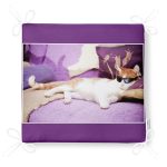 - Frm-5610-Gozluklu-Kedi-Desenli-Dijital-Baskili-Modern-Fermuarli-Sandalye-Minderi-4 - Realhomes Gözlüklü Kedi Desenli Dijital Baskılı Modern Fermuarlı Sandalye Minderi Realhomes