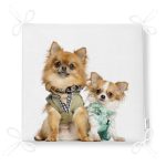 - Frm-5614-Sevimli-Kopekler-Dijital-Baskili-Modern-Fermuarli-Sandalye-Minderi-4 - Realhomes Sevimli Köpekler Dijital Baskılı Modern Fermuarlı Sandalye Minderi Realhomes