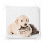 - Frm-5622-Kopek-ve-Kedili-Dijital-Baskili-Modern-Fermuarli-Sandalye-Minderi-4 - Realhomes Köpek ve Kedili Dijital Baskılı Modern Fermuarlı Sandalye Minderi Realhomes