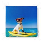 - Frm-5625-Sorf-Yapan-Kopek-Dijital-Baskili-Modern-Fermuarli-Sandalye-Minderi-4 - Realhomes Sörf Yapan Köpek Dijital Baskılı Modern Fermuarlı Sandalye Minderi Realhomes