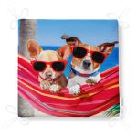 Hamaktaki Köpekler Motifli Modern Fermuarlı Sandalye Minderi Realhomes