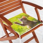 - Frm-5632-Sevimli-Kedi-Desenli-Dijital-Baskili-Modern-Fermuarli-Sandalye-Minderi-1 - Realhomes Sevimli Kedi Desenli Dijital Baskılı Modern Fermuarlı Sandalye Minderi Realhomes