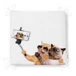 - Frm-5634-Selfie-Cekinen-Kopekli-Kedi-Modern-Fermuarli-Sandalye-Minderi-4 - Realhomes Selfie Çekinen Köpekli Kedi Modern Fermuarlı Sandalye Minderi Realhomes