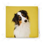 - Frm-5662-Sari-Zeminli-Kopek-Dijital-Baskili-Modern-Fermuarli-Sandalye-Minderi-4 - Realhomes Sarı Zeminli Köpek Dijital Baskılı Modern Fermuarlı Sandalye Minderi Realhomes