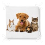 - Frm-5665-Tavsan-Kedi-Kopek-Desenli-Dijital-Baskili-Modern-Fermuarli-Sandalye-Minderi-4 - Realhomes Tavşan-Kedi-Köpek Desenli Dijital Baskılı Modern Fermuarlı Sandalye Minderi Realhomes