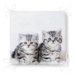 Yavru Kedi Desenli Modern Fermuarlı Sandalye Minderi Realhomes