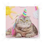 - Frm-5696-Sevimli-Kedi-Desenli-Dijital-Baskili-Modern-Fermuarli-Sandalye-Minderi-4 - Realhomes Sevimli Kedi Desenli Dijital Baskılı Modern Fermuarlı Sandalye Minderi Realhomes