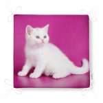 - Frm-5697-Sevimli-Kedi-Desenli-Dijital-Baskili-Modern-Fermuarli-Sandalye-Minderi-4 - Realhomes Sevimli Kedi Desenli Dijital Baskılı Modern Fermuarlı Sandalye Minderi Realhomes