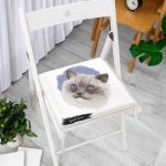 Sevimli Kedi Desenli Dijital Baskılı Modern Fermuarlı Sandalye Minderi Realhomes