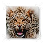 - Frm-97-Leopar-Resimli-Dijital-Baskili-Fermuarli-Sandalye-Minderi-4 - Realhomes Leopar Resimli Dijital Baskılı Fermuarlı Sandalye Minderi Realhomes