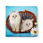 - httpsrealarge.comserdarMinderFermuarli-KareFrm-209-Gorsel12-Gorsel-4 - Realhomes RealHomes Özel Tasarım Fermuarlı Sandalye Minderi Realhomes