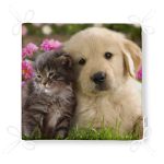 - httpsrealarge.comserdarMinderFermuarli-KareFrm-28-Gorsel12-Gorsel-4 - Realhomes  RealHomes Özel Tasarım Fermuarlı Sandalye Minderi Realhomes