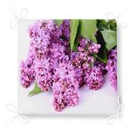 - httpsrealarge.comserdarMinderFermuarli-KareFrm-3657-Gorsel12-Gorsel-4 - Realhomes  Realhomes Göz Motifli Özel Tasarım Dijtal Baskılı Modern Fermuarlı Sandalye Minderi Realhomes