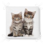 - httpsrealarge.comserdarMinderFermuarli-KareFrm-5616-Gorsel12-Gorsel-4 - Realhomes Sevimli Tekir Kedicikler Modern Fermuarlı Sandalye Minderi Realhomes