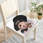 - httpsrealarge.comserdarMinderFermuarli-KareFrm-5644-Gorsel12-Gorsel-2 - Realhomes  Korsan Giysili Sarı Kedi Dekoratif Fermuarlı Sandalye Minderi Realhomes