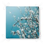 - httpsrealarge.comserdarMinderFermuarli-KareFrm-811-Gorsel12-Gorsel-4 - Realhomes Realhomes Dekorati Kare Sandalye Minderi 40x40cm Fermuarlı Realhomes