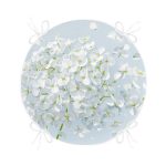 Mavi Zeminde Beyaz Ortanca Çiçeği Dijital Baskılı Yuvarlak Fermuarlı Sandalye Minderi Realhomes