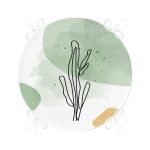 - RealHomes Yuvarlak Fermuarlı Minder - Realhomes  Soft Renkli Onedraw Yaprak Temalı Dijital Baskılı Modern Yuvarlak Fermuarlı Sandalye Minderi Realhomes