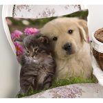 Hayvanlar Alemi Dijital Baskılı Dekoratif Yastık Kırlent Kılıfı Realhomes