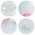 - RealHomes Yuvarlak Fermuarlı Sandalye Minderi - Realhomes  4'lü Renkli Zemin Üzerinde Yaprak Desenli Modern Yuvarlak Fermuarlı Sandalye Minderi Seti Realhomes