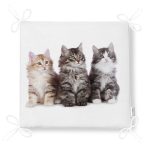 - Frm-5617-Gorsel-4 - Realhomes Sevimli Kediler Desenli Dijital Baskılı Modern Fermuarlı Sandalye Minderi Realhomes