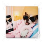 - Frm-5680-Gorsel-4 - Realhomes Selfie Çekinen Köpek Modern Fermuarlı Sandalye Minderi Realhomes