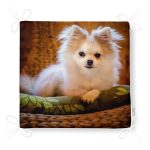 - Frm-5710-Gorsel-4 - Realhomes Sevimli Köpek Desenli Dijital Baskılı Modern Fermuarlı Sandalye Minderi Realhomes